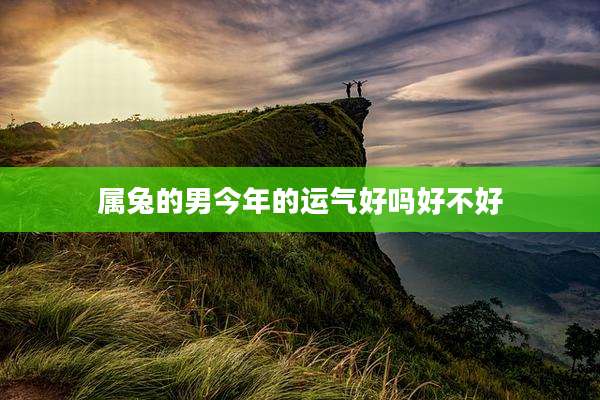 属兔的男今年的运气好吗好不好