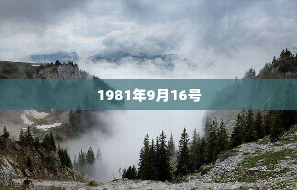 1981年9月16号