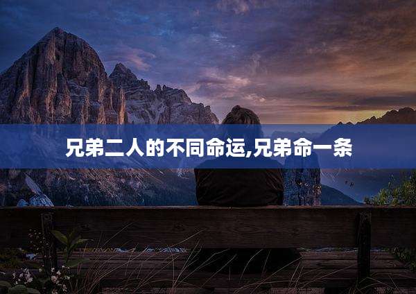 兄弟二人的不同命运,兄弟命一条