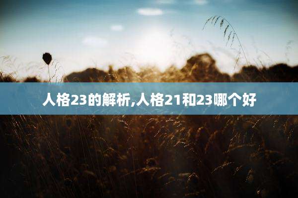 人格23的解析,人格21和23哪个好