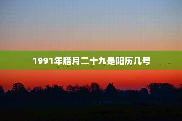 1991年腊月二十九是阳历几号