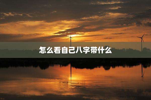 怎么看自己八字带什么