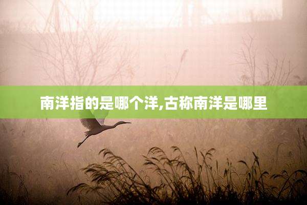 南洋指的是哪个洋,古称南洋是哪里