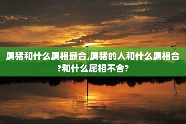 属猪和什么属相最合,属猪的人和什么属相合?和什么属相不合?