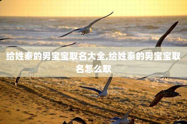 给姓秦的男宝宝取名大全,给姓秦的男宝宝取名怎么取