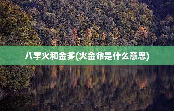 八字火和金多(火金命是什么意思)