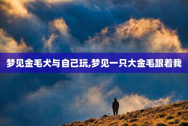 梦见金毛犬与自己玩,梦见一只大金毛跟着我