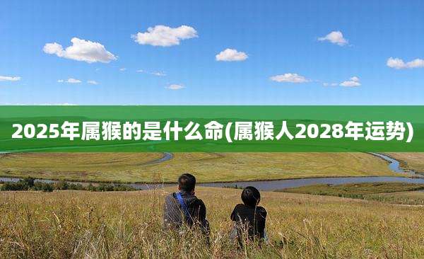2025年属猴的是什么命(属猴人2028年运势)