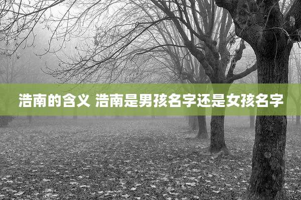 浩南的含义 浩南是男孩名字还是女孩名字