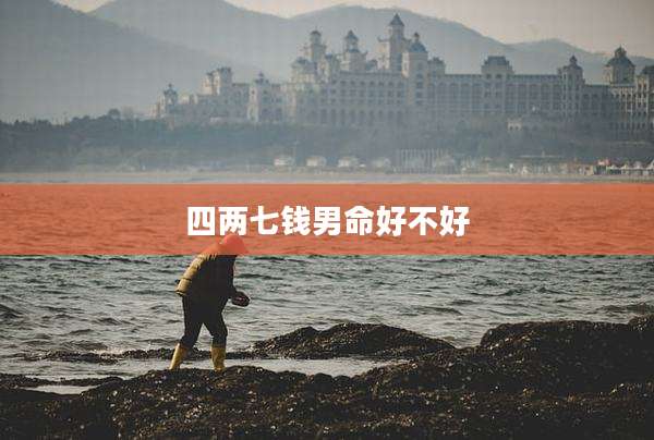 四两七钱男命好不好