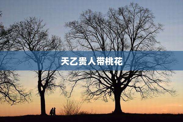天乙贵人带桃花