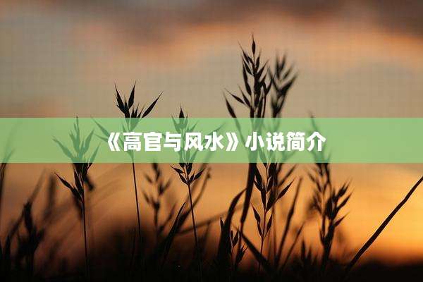 《高官与风水》小说简介