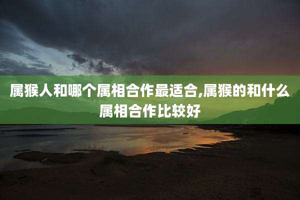 属猴人和哪个属相合作最适合,属猴的和什么属相合作比较好