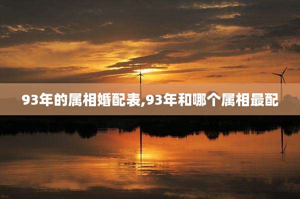 93年的属相婚配表,93年和哪个属相最配
