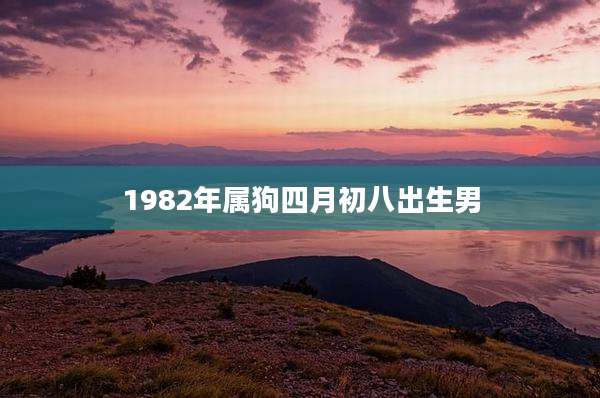 1982年属狗四月初八出生男