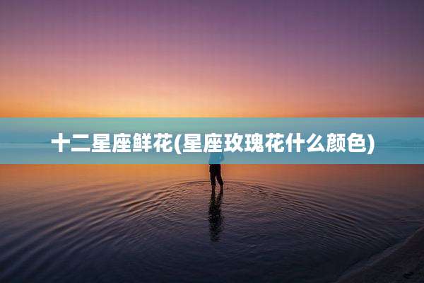 十二星座鲜花(星座玫瑰花什么颜色)