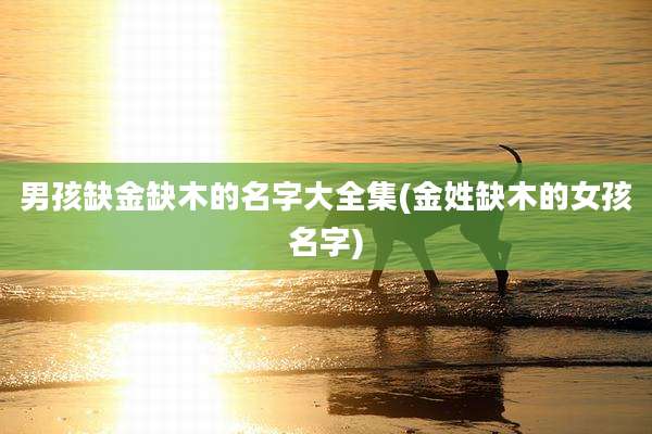 男孩缺金缺木的名字大全集(金姓缺木的女孩名字)