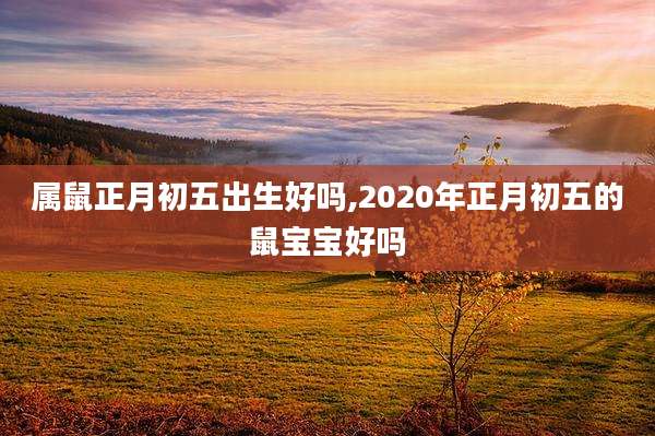 属鼠正月初五出生好吗,2020年正月初五的鼠宝宝好吗