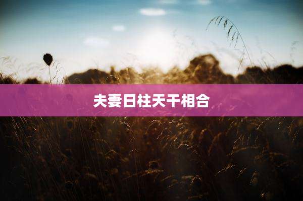 夫妻日柱天干相合