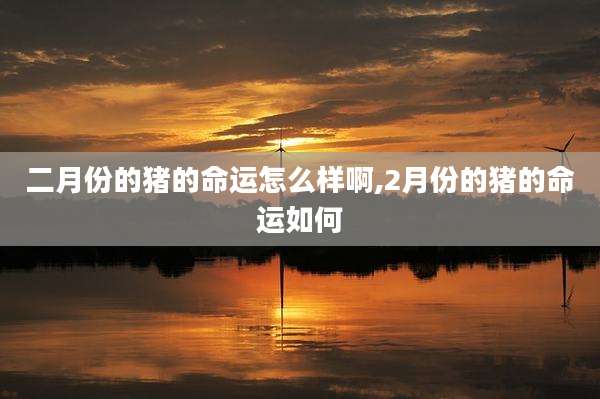 二月份的猪的命运怎么样啊,2月份的猪的命运如何