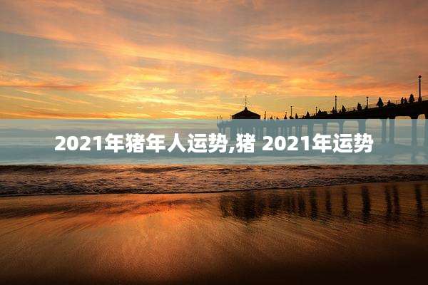 2021年猪年人运势,猪 2021年运势