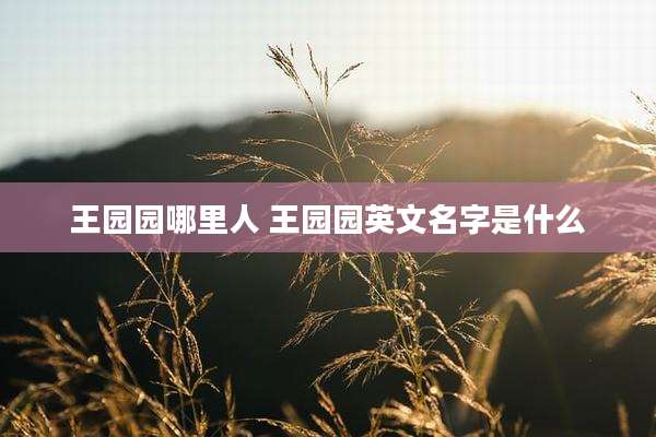 王园园哪里人 王园园英文名字是什么