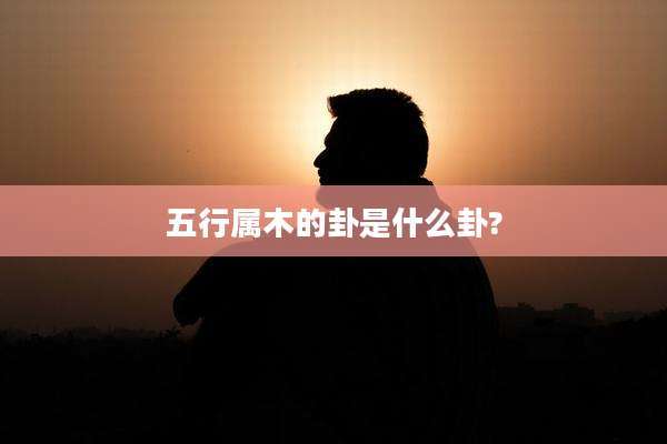 五行属木的卦是什么卦?