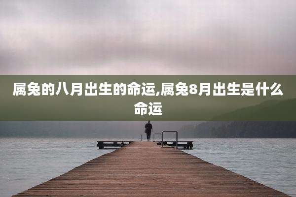 属兔的八月出生的命运,属兔8月出生是什么命运