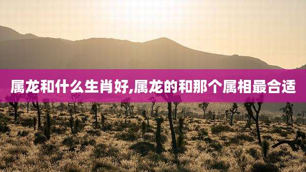 属龙和什么生肖好,属龙的和那个属相最合适