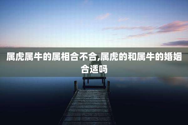 属虎属牛的属相合不合,属虎的和属牛的婚姻合适吗