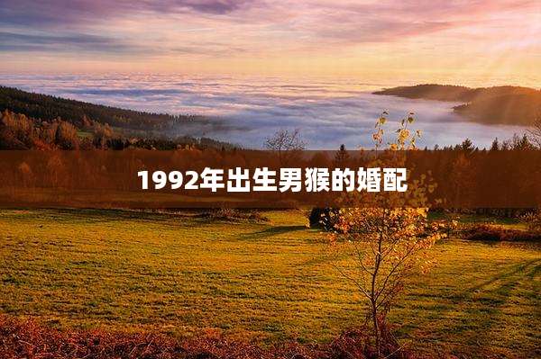 1992年出生男猴的婚配