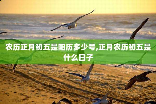 农历正月初五是阳历多少号,正月农历初五是什么日子