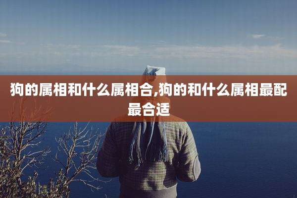 狗的属相和什么属相合,狗的和什么属相最配最合适
