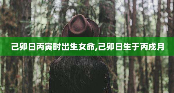 己卯日丙寅时出生女命,己卯日生于丙戌月