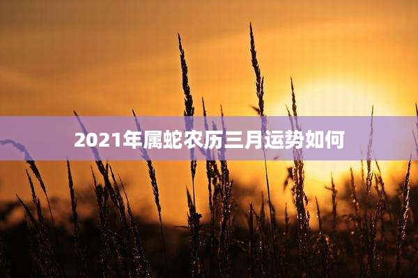 2021年属蛇农历三月运势如何