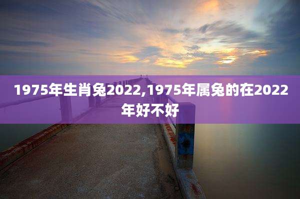 1975年生肖兔2022,1975年属兔的在2022年好不好