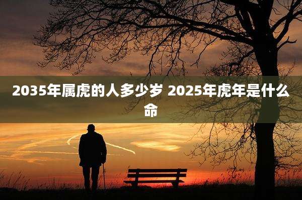 2035年属虎的人多少岁 2025年虎年是什么命