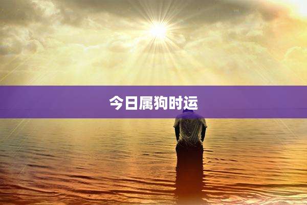 今日属狗时运