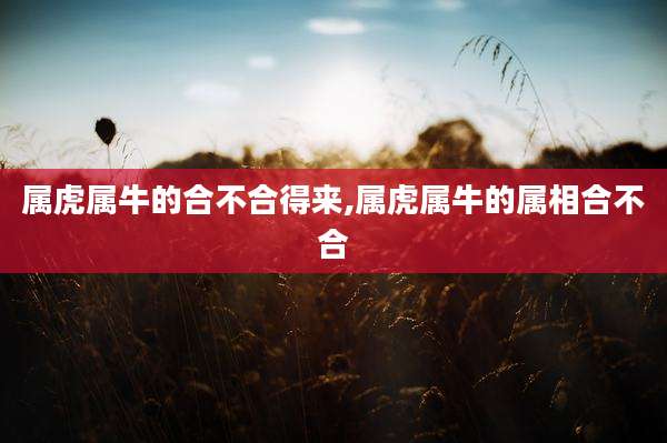属虎属牛的合不合得来,属虎属牛的属相合不合