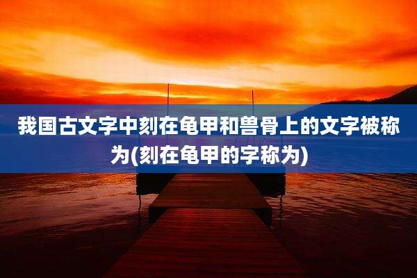 我国古文字中刻在龟甲和兽骨上的文字被称为(刻在龟甲的字称为)