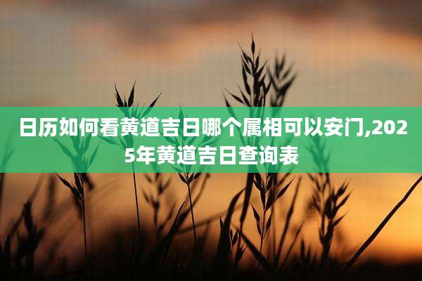 日历如何看黄道吉日哪个属相可以安门,2025年黄道吉日查询表