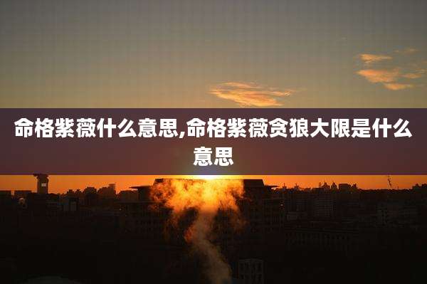 命格紫薇什么意思,命格紫薇贪狼大限是什么意思
