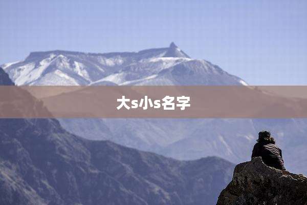 大s小s名字