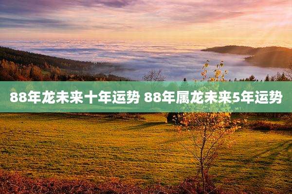 88年龙未来十年运势 88年属龙未来5年运势