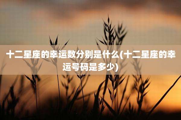 十二星座的幸运数分别是什么(十二星座的幸运号码是多少)