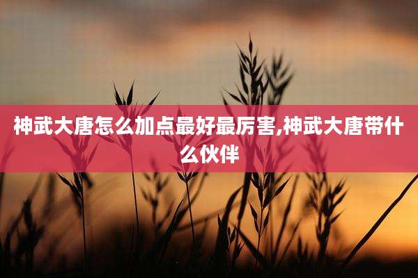 神武大唐怎么加点最好最厉害,神武大唐带什么伙伴
