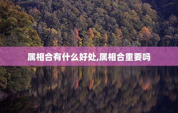 属相合有什么好处,属相合重要吗