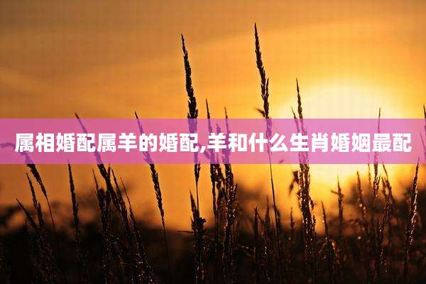 属相婚配属羊的婚配,羊和什么生肖婚姻最配