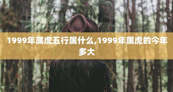 1999年属虎五行属什么,1999年属虎的今年多大