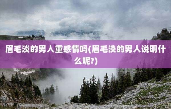 眉毛淡的男人重感情吗(眉毛淡的男人说明什么呢?)